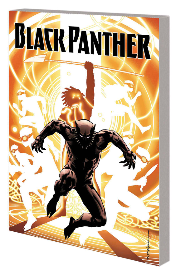Black Panther TP Book 02 Nation Under Our Feet (TPB)/Graphic Novel